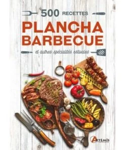 500 Recettes Plancha Barbecue
