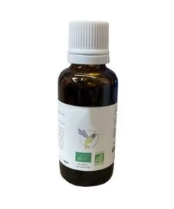 AULNE Glutineux Bourgeon MGC BIO-30 Ml