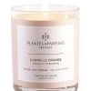 BOUGIE PARFUMEE CANNELLE ORANGE 180G -Intérieure Décoration Magasin bougie parfumee cannelle orange 180g