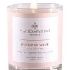 BOUGIE PARFUMEE NECTAR DE VIGNE 180G -Intérieure Décoration Magasin bougie parfumee nectar de vigne 180g
