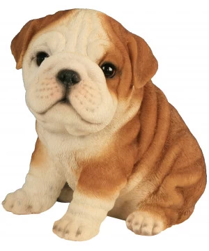 /BOULEDOGUE BEBE 19CM 3 /BOULEDOGUE BEBE 19CM