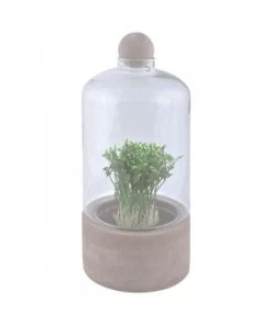 /BOUTEILLE TERRARIUM BASE BETON L