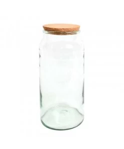 Bouteille Terrarium Semi Ouvert L