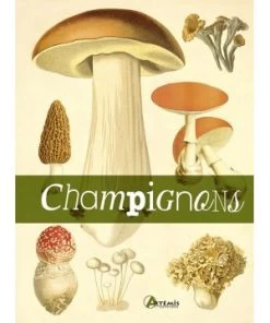 CHAMPIGNONS