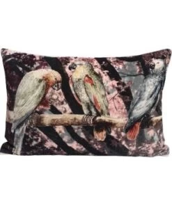 COUSSIN KASKA VELOURS OISEAU 60X40