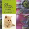 Des Plantes Et Des Soins Naturels Pour Mon Anima -Intérieure Décoration Magasin des plantes et des soins naturels pour mon anima
