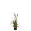 FOXTAIL BLANC D/POT 81CM -Intérieure Décoration Magasin foxtail blanc d pot 81cm