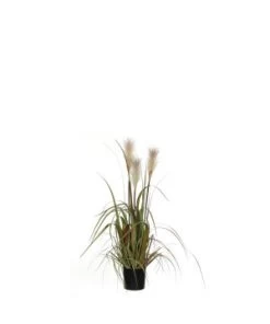 FOXTAIL BLANC D/POT 81CM
