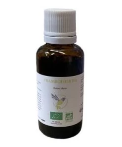 FRAMBOISIER Jeune Pousse MGC BIO-30 Ml*