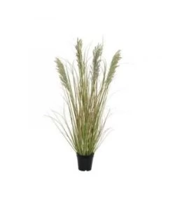 HERBE D/POT VERT H90