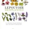 LE POUVOIR DES PLANTES 2 LE POUVOIR DES PLANTES -Intérieure Décoration Magasin le pouvoir des plantes