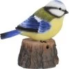 Oiseau D'accueil Mésange Bleue -Intérieure Décoration Magasin oiseau d accueil mesange bleue