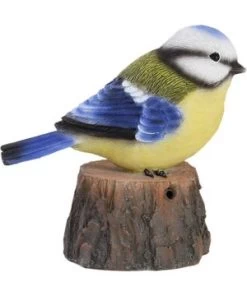 Oiseau D'accueil Mésange Bleue