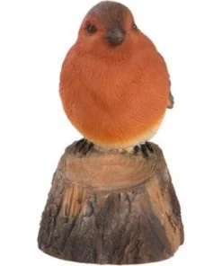 Oiseau D'accueil Rouge Gorge