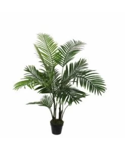 Palmier D/pot H120 D60