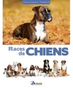 Races De Chiens Encyclopedie Visuelle