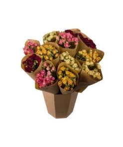 Seau Botte Tige Rose