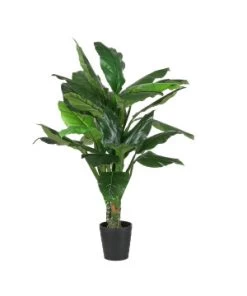 SPATHIPHYLLUM D/POT 1.60M