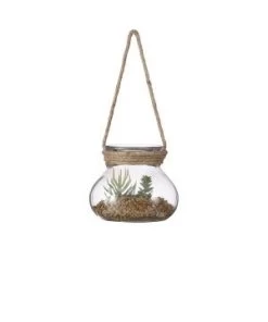 SUCCULENTE D/VERRE H12