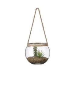 SUCCULENTE D/VERRE H13