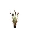 TYPHA D/POT 90CM -Intérieure Décoration Magasin typha d pot 90cm