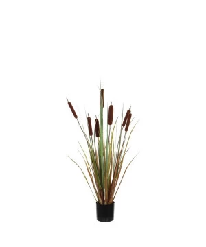 TYPHA D/POT 90CM 3 TYPHA D/POT 90CM